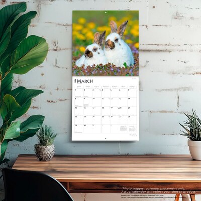 2026 BrownTrout Honey Bunny 12" x 12" Monthly Wall Calendar (9798330703654)