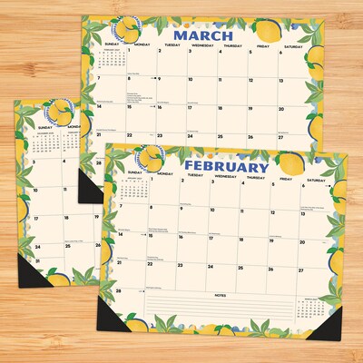 2027 Willow Creek Mediterranean Moments 22 x 17 Monthly Desk Pad Calendar, Assorted Colors (66584)