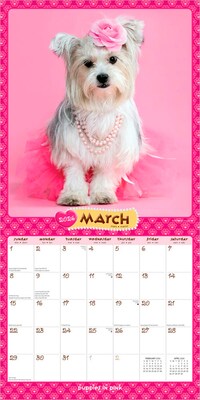 2026 BrownTrout Puppies in Pink 12" x 12" Monthly Wall Calendar (9798330705245)