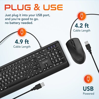 Delton KBM20 Wired Keyboard and Optical Mouse Combo, Black (DKMBG20-U)