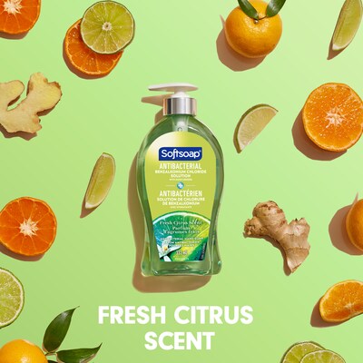 Softsoap Citrus Series Antibacterial Hand Soap, Fresh Citrus, 11.25 oz. (US03563A)