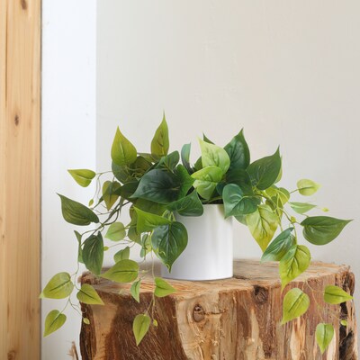 Forever Leaf Artificial Ivy Foliage Plant in White Ceramic Pot (FEV-IVYW)