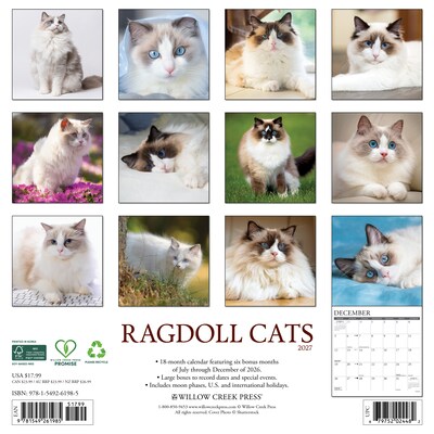 2027 Willow Creek Multi 12 x 12 Monthly Wall Calendar, Assorted Colors (61985)