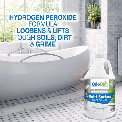 OdoBan Ready-to-Use Multi-Surface General Floor Cleaner, 1 Gallon (936293-G4)