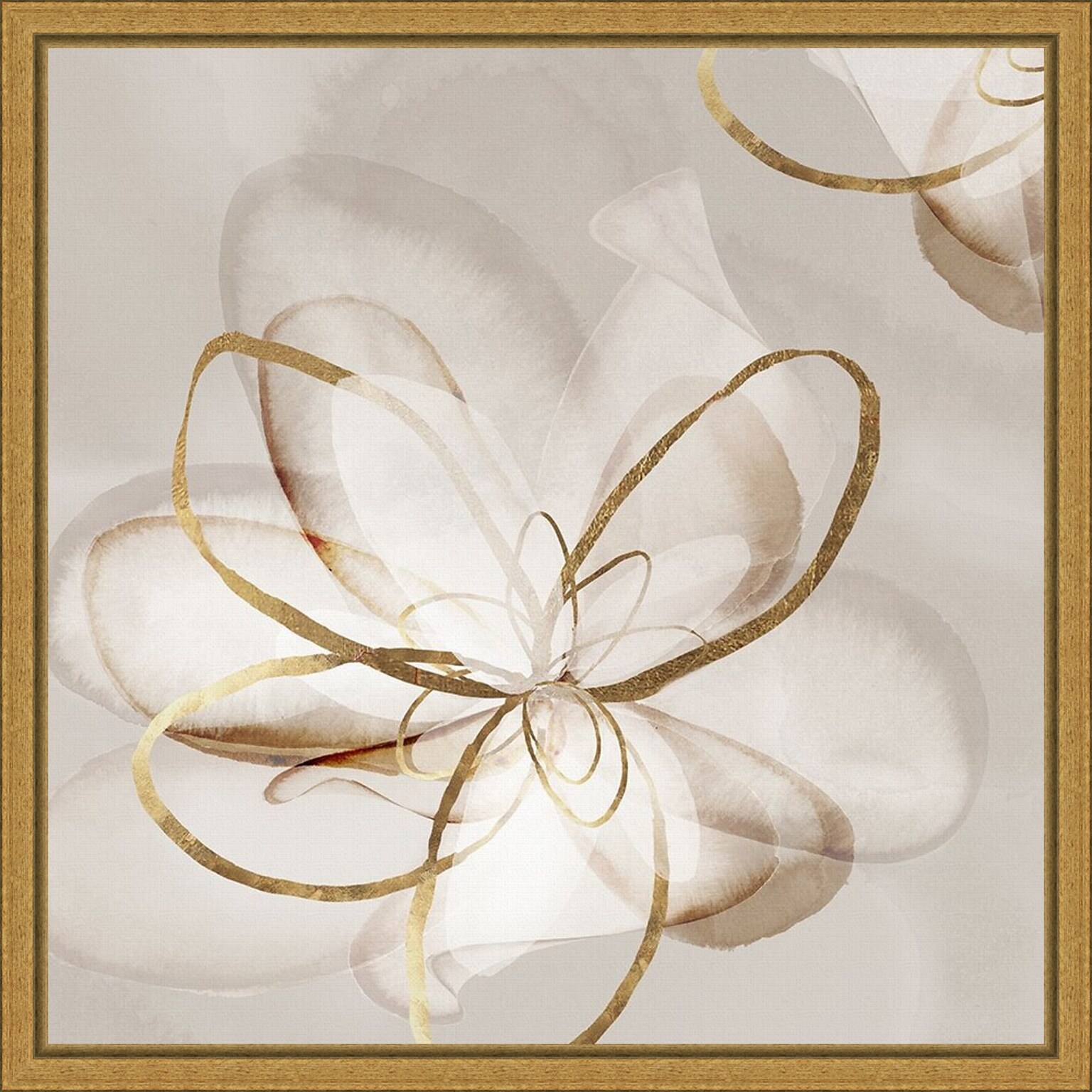 Amanti Art Transparent Beauty II (Floral) by Eva Watts Framed Canvas Wall Art Print, 16 x 16 (A42675040765)