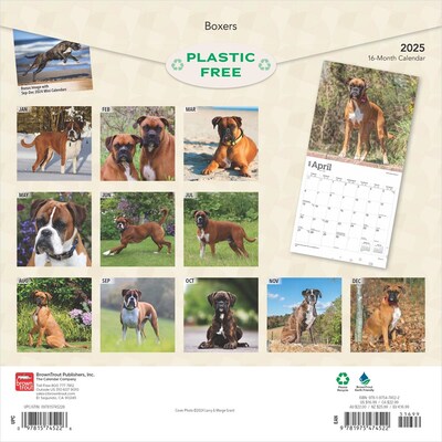 2025 BrownTrout Boxers International Edition 12 x 12 Monthly Wall Calendar (9781975474522)