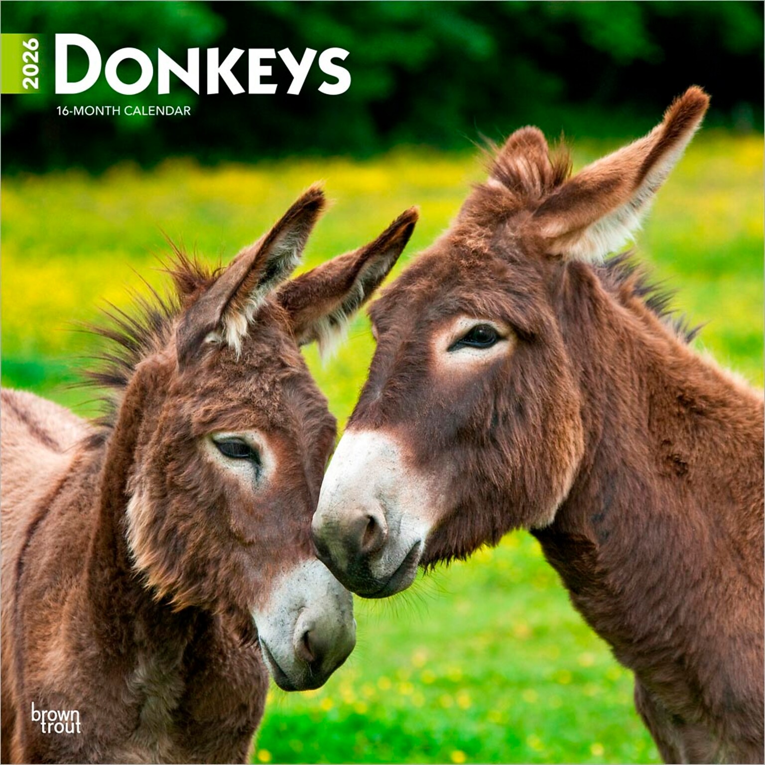 2026 BrownTrout Donkeys 12 x 12 Monthly Wall Calendar (9798330703173)