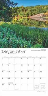 2025 BrownTrout Michigan Wild & Scenic 12" x 24" Monthly Square Wall Calendar (9781975475277)