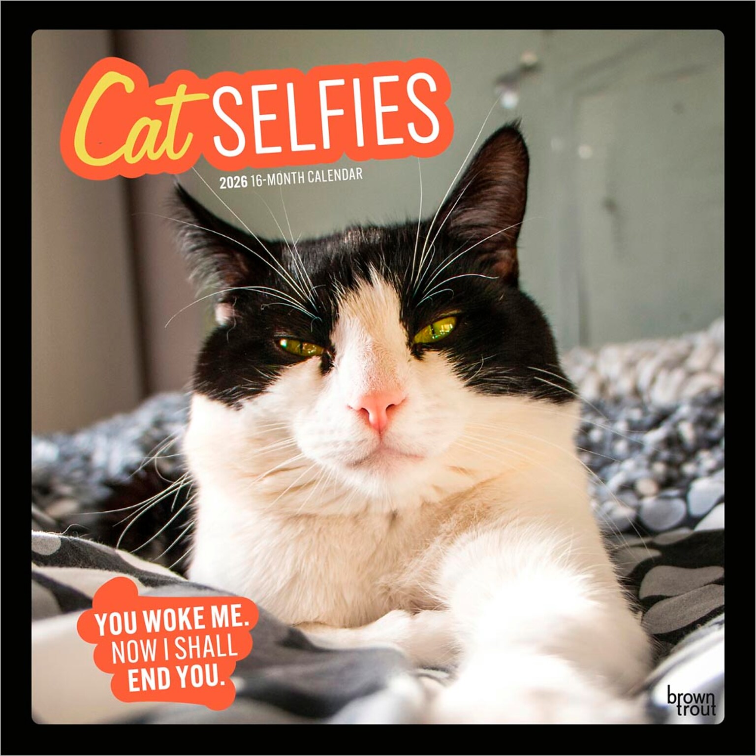 2026 BrownTrout Cat Selfies 12 x 12 Monthly Wall Calendar (9798330702794)