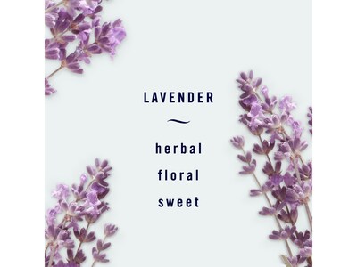 Febreze AIR LIGHT Air Freshener Aerosol, Lavender Scent, 8.8 fl. oz., 2/Pack (80657)