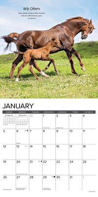 2025 Willow Creek Seize the Hay (Horse Humor) 12" x 12" Monthly Wall Calendar (44810)