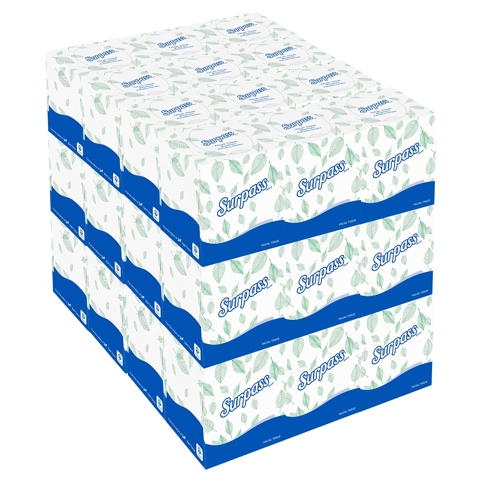 Surpass Boutique Facial Tissue, 2-ply, 110 Tissues/Box, 36 Boxes/Pack (21320)