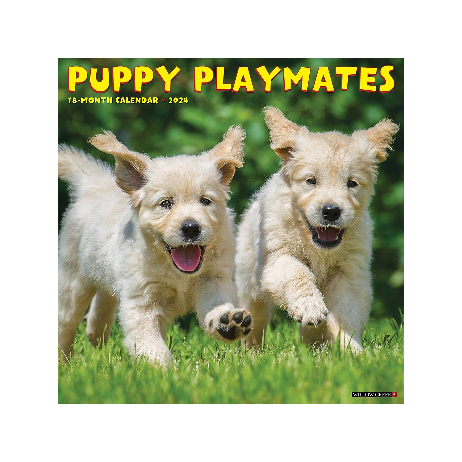 2024 Willow Creek Puppy Playmates 12 x 12 Monthly Wall Calendar (35054X)