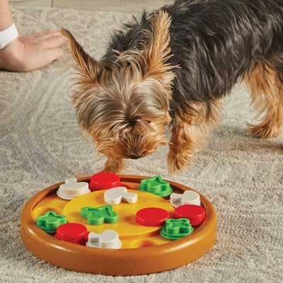 Brightkins Pizza Party! Treat Puzzle, Multicolored, 4 Pieces (LER9403)