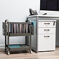 Mind Reader 2-Shelf Mobile File Organizer Utility Carts with Wheels, Silver (MFILEC-SIL)