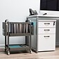 Mind Reader 2-Shelf Mobile File Organizer Utility Carts with Wheels, Silver (MFILEC-SIL)