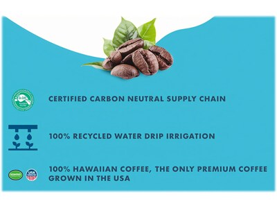 Waiakea Hawaiian Volcanic Mauna Mocha Cold Brew Coffee, 11 oz., 12/Carton (857002)
