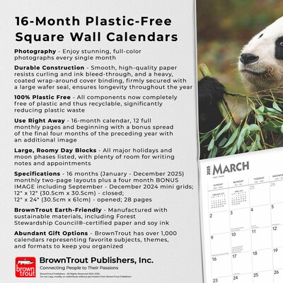 2025 BrownTrout Giant Pandas 12" x 12" Monthly Wall Calendar (9781975474843)