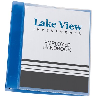 Avery 1 3-Ring View Binders, Blue (17675)