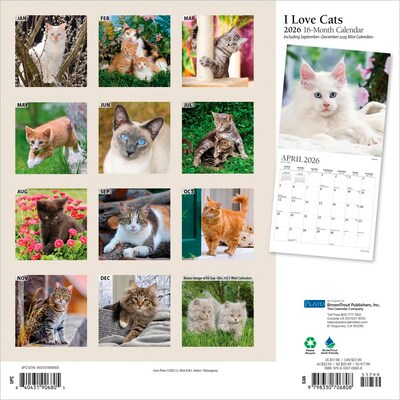 2026 Plato I Love Cats 12 x 12 Monthly Wall Calendar (9798330706808)