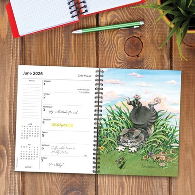 2026 Willow Creek Cats by Gary Patterson 6.5" x 8.5" Daily & Monthly Personal Organizer (54604)