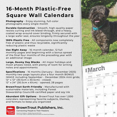 2025 BrownTrout Lhasa Apsos 12" x 12" Monthly  Wall Calendar (9781975478315)
