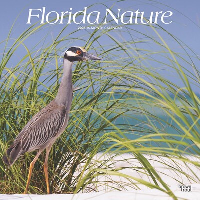 2025 BrownTrout Florida Nature 12 x 24 Monthly Square Wall Calendar, (9781975474805)