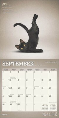 2025 Plato Yoga Kittens 12" x 12" Monthly  Wall Calendar (9781975480134)