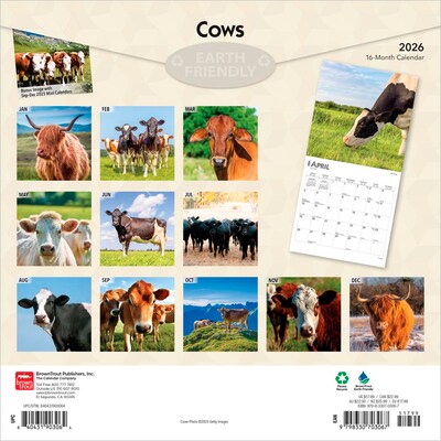 2026 BrownTrout Cows 12 x 12 Monthly Wall Calendar (9798330703067)
