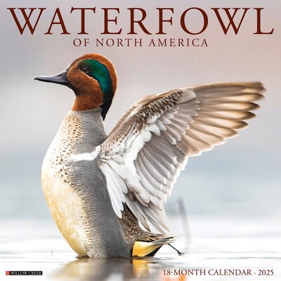 2025 Willow Creek Waterfowl 12 x 12 Monthly Wall Calendar (45305)