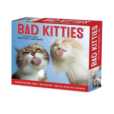 2026 Willow Creek Bad Kitties 6.2" x 5.4" Day-to-Day Calendar (53959)