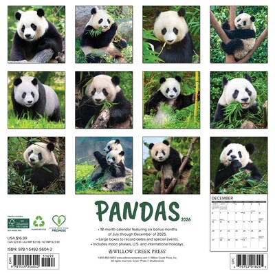 2026 Willow Creek Pandas 12 x 12 Monthly Wall Calendar (56042)