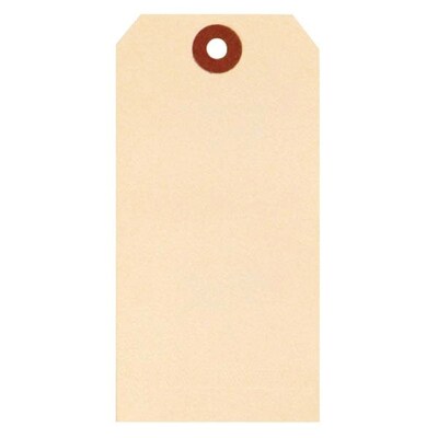 Nahanco 5 1/4 x 2 5/8 Unstrung All Purpose Tag, Manila, 1000/Pack (APT6N)