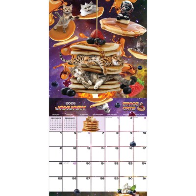 2026 TF Publishing Space Cats 12 x 12 Monthly Wall Calendar (26-1026)