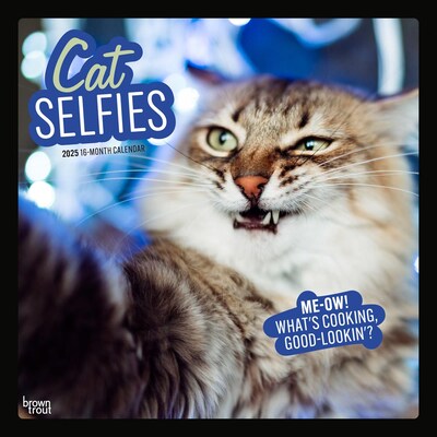 2025 BrownTrout Cat Selfies 12 x 12 Monthly  Wall Calendar (9781975474614)