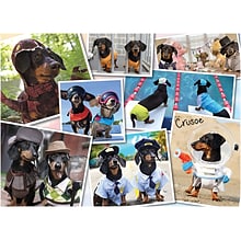 Willow Creek Crusoes Greatest Hits 1000-Piece Jigsaw Puzzle (49328)