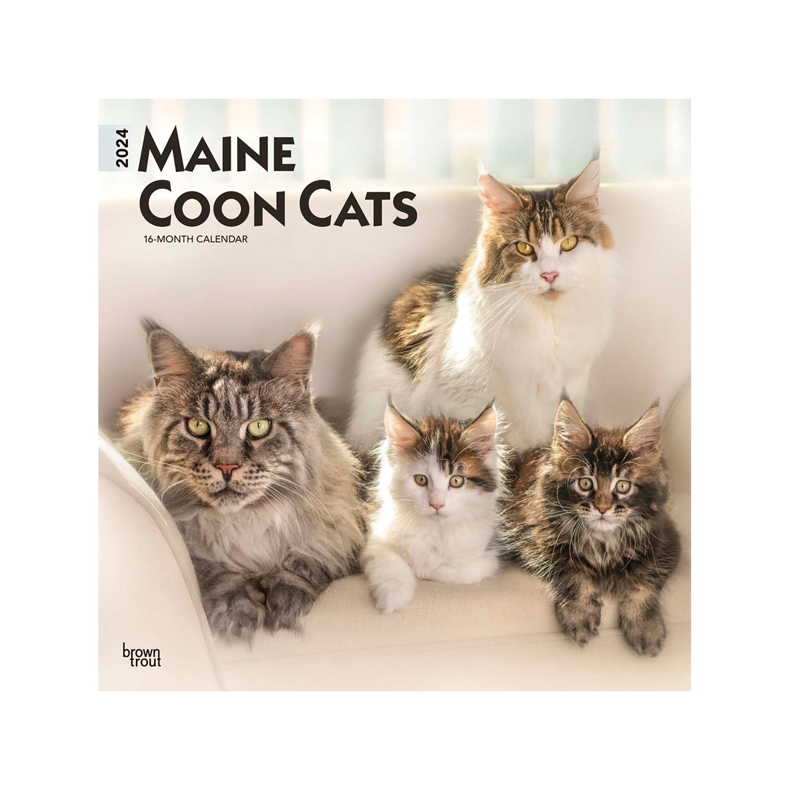 2024 BrownTrout Maine Coon Cats 12 x 12 Monthly Wall Calendar (9781975463786)