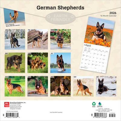 2026 BrownTrout German Shepherds 12 x 12 Monthly Wall Calendar (9798330703388)