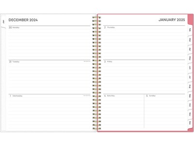 2025 Blue Sky Fly By 8.5 x 11 Weekly & Monthly Planner, Plastic Cover, Multicolor (140195-25)