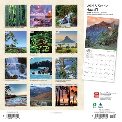 2023 BrownTrout Hawaii Wild & Scenic 12 x 12 Monthly Wall Calendar (9781975451776)