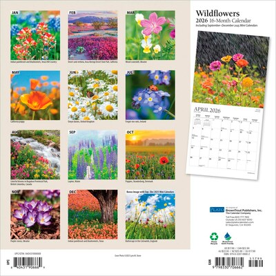 2026 Plato Wildflowers 12 x 12 Monthly Wall Calendar (9798330706662)