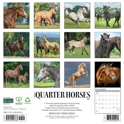 2027 Willow Creek American Quarter Horses 12 x 12 Monthly Wall Calendar, Assorted Colors (58763)