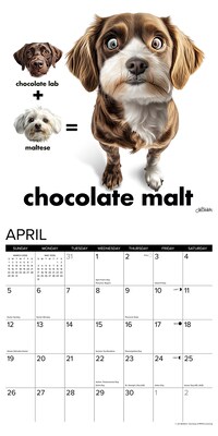2026 Willow Creek Mutt Mashups 12" x 12" Monthly Wall Calendar (55984)