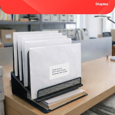 Staples Clasp & Gummed Catalog Envelopes, 10"L x 13"H, Bright White, 100/Box (570231N)