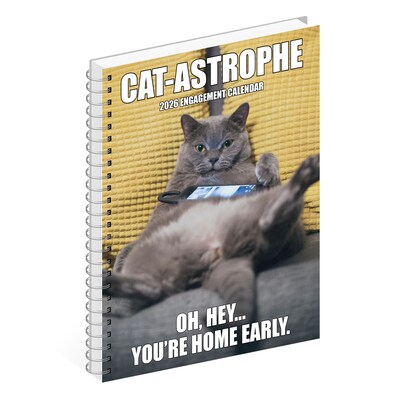 2026 Willow Creek Cat-astrophe 6.5" x 8.5" Daily & Monthly Personal Organizer (54598)