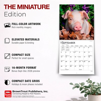 2027 BrownTrout Piglets 7" x 7" Monthly Wall Calendar (9798330709816)