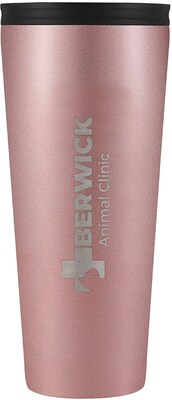 Iron Flask Classic Tumbler 2.0 24 oz
