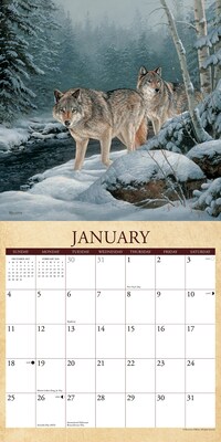 2026 Willow Creek Wild America 12" x 12" Monthly Wall Calendar (53270)