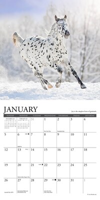 2025 Willow Creek What Horses Teach Us 7" x 7" Monthly Wall Calendar (46036)
