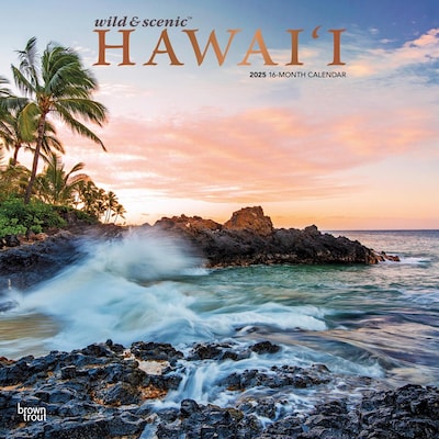 2025 BrownTrout Hawaii Wild & Scenic 12 x 12 Monthly  Wall Calendar (9781975474904)